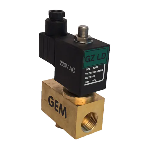 GEM Automatic Drain Valve 1/2